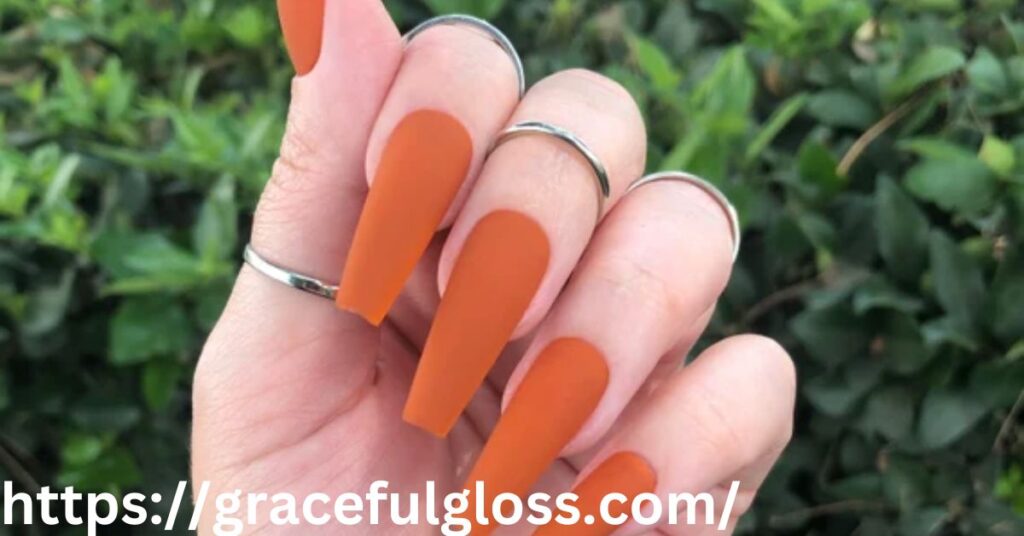 Matte Burnt Orange Nails